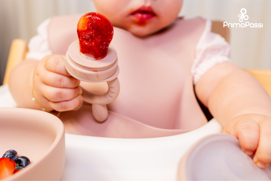 Food Feeder for Teething: How to Use Frozen Foods to Soothe Baby's Gums